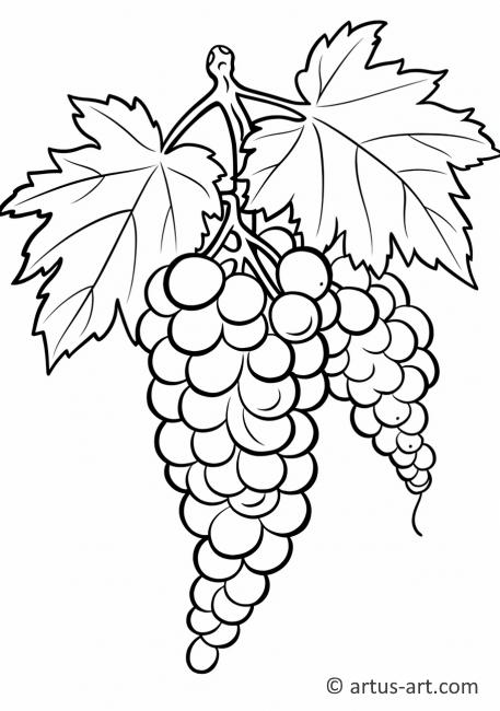 Милый рисунок винограда для раскрашивания
